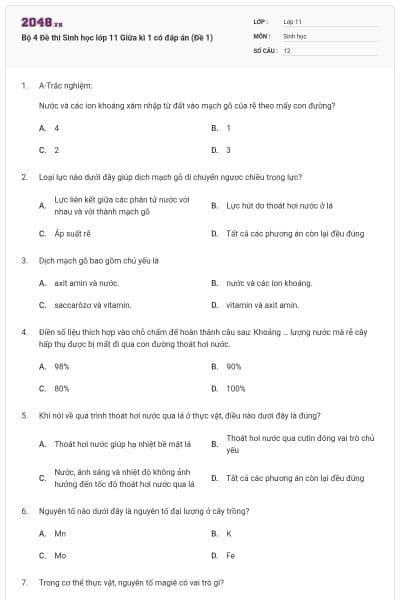 Bộ 4 Đề thi Sinh học lớp 11 Giữa kì 1 có đáp án (Đề 1)