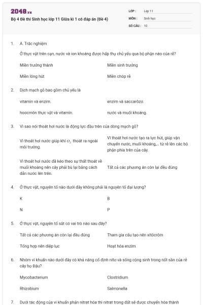 Bộ 4 Đề thi Sinh học lớp 11 Giữa kì 1 có đáp án (Đề 4)