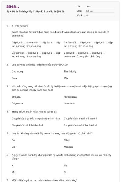Bộ 4 Đề thi Sinh học lớp 11 Học kì 1 có đáp án (Đề 2)
