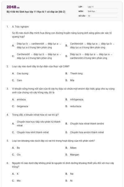 Bộ 4 Đề thi Sinh học lớp 11 Học kì 1 có đáp án (Đề 2)