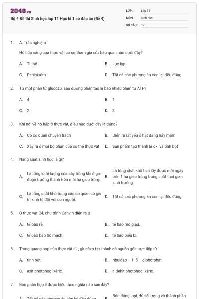 Bộ 4 Đề thi Sinh học lớp 11 Học kì 1 có đáp án (Đề 4)