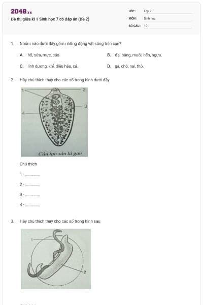 Đề thi giữa kì 1 Sinh học 7 có đáp án (Đề 2)