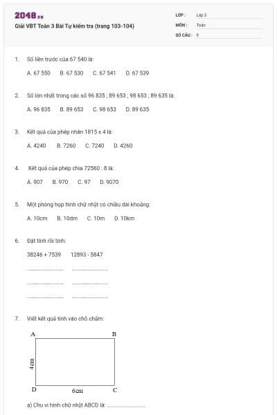 Giải VBT Toán 3 Bài Tự kiểm tra (trang 103-104)