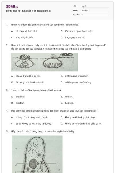 Đề thi giữa kì 1 Sinh học 7 có đáp án (Đề 3)