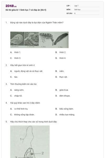 Đề thi giữa kì 1 Sinh học 7 có đáp án (Đề 4)