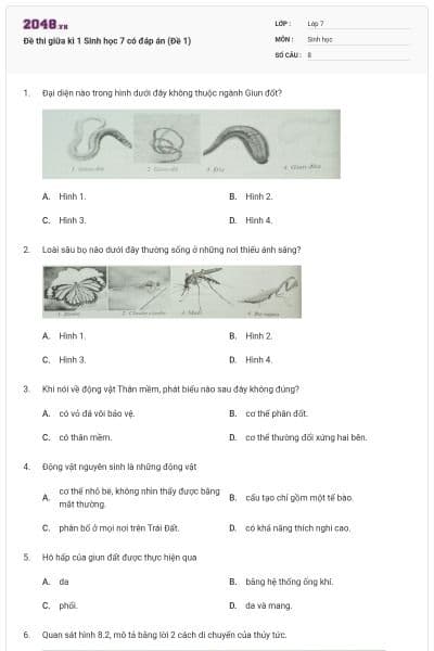 Đề thi giữa kì 1 Sinh học 7 có đáp án (Đề 1)