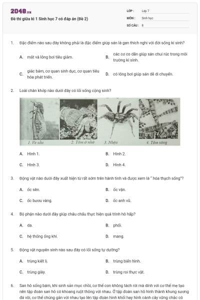 Đề thi giữa kì 1 Sinh học 7 có đáp án (Đề 2)