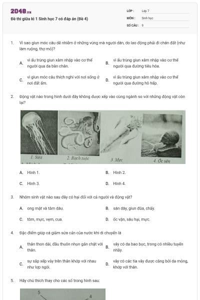 Đề thi giữa kì 1 Sinh học 7 có đáp án (Đề 4)