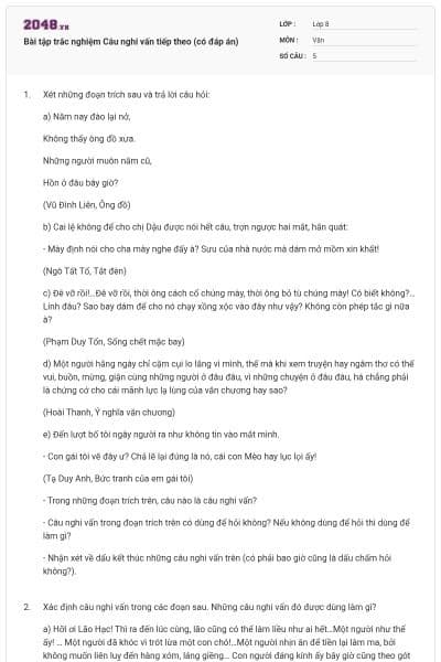 Bài tập trắc nghiệm Câu nghi vấn tiếp theo (có đáp án)