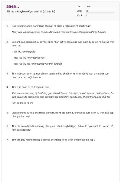 Bài tập trắc nghiệm Cụm danh từ  (có đáp án)