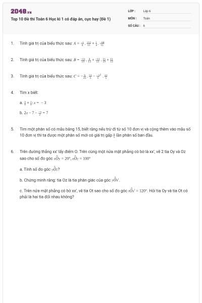 Top 10 Đề thi Toán 6 Học kì 1 có đáp án, cực hay (Đề 1)
