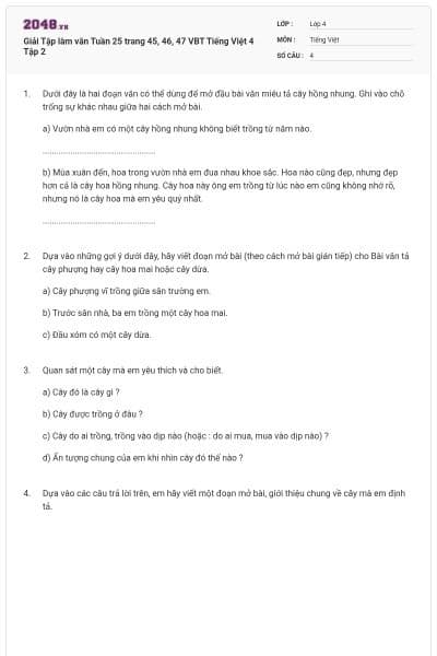 Giải Tập làm văn Tuần 25 trang 45, 46, 47 VBT Tiếng Việt 4 Tập 2