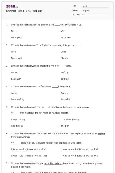 Grammar – Động Từ Nối - Câu Chẻ