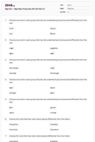 Ngữ Âm – Ngữ Điệu Trong Câu Hỏi Với Vấn Từ