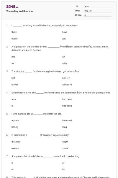 Vocabulary and Grammar