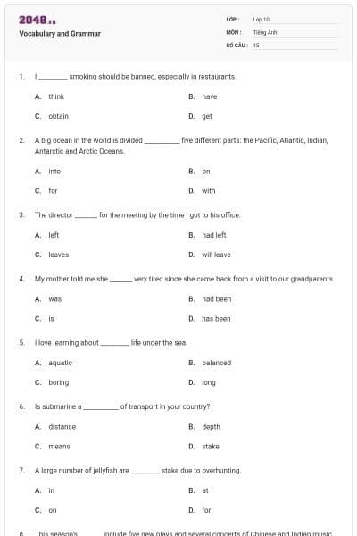Vocabulary and Grammar