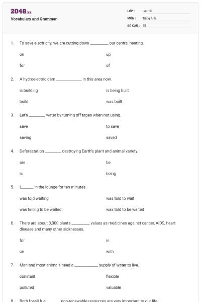 Vocabulary and Grammar