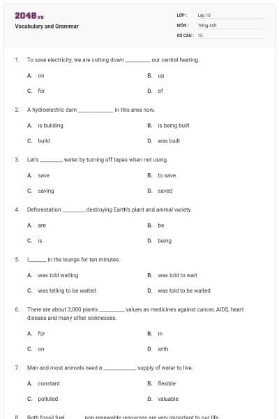 Vocabulary and Grammar