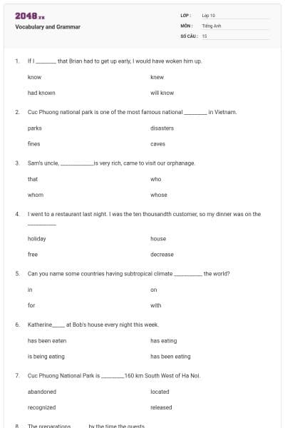 Vocabulary and Grammar