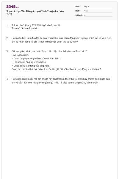 Soạn văn Lục Vân Tiên gặp nạn (Trích Truyện Lục Vân Tiên)