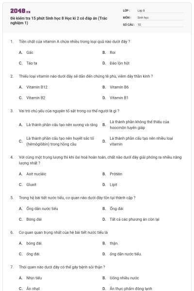 Đề kiểm tra 15 phút Sinh học 8 Học kì 2 có đáp án (Trắc nghiệm 1)