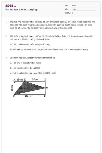 Giải VBT Toán 5 Bài 167: Luyện tập