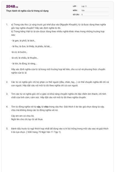 Thực hành về nghĩa của từ trong sử dụng