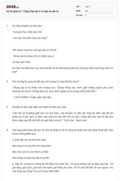 Đề thi giữa kì 1 Tiếng Việt lớp 9 có đáp án (Đề 3)