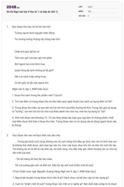Đề thi Ngữ văn lớp 9 Học kì 1 có đáp án (Đề 1)