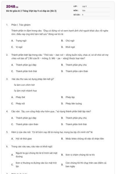 Đề thi giữa kì 2 Tiếng Việt lớp 9 có đáp án (Đề 3)