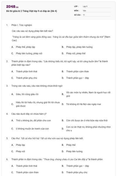 Đề thi giữa kì 2 Tiếng Việt lớp 9 có đáp án (Đề 4)