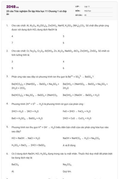 20 câu Trắc nghiệm Ôn tập Hóa học 11 Chương 1 có đáp án