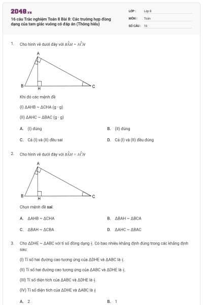 16 câu Trắc nghiệm Toán 8 Bài 8: Các trường hợp đồng dạng của tam giác vuông có đáp án (Thông hiểu)