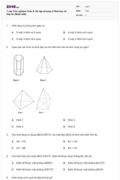 7 câu Trắc nghiệm Toán 8: Ôn tập chương 4 Hình học có đáp án (Nhận biết)