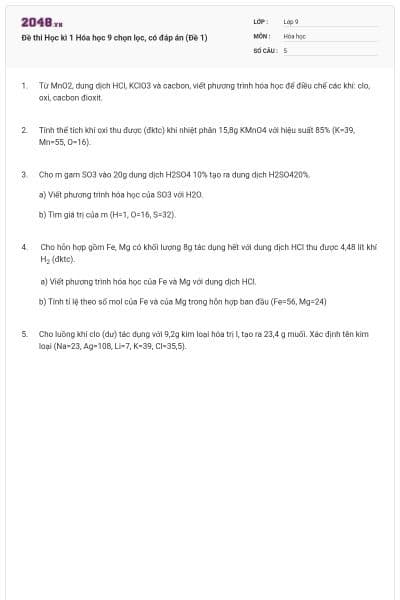 Đề thi Học kì 1 Hóa học 9 chọn lọc, có đáp án (Đề 1)
