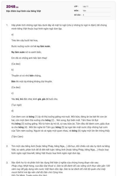 Đặc điểm loại hình của tiếng Việt