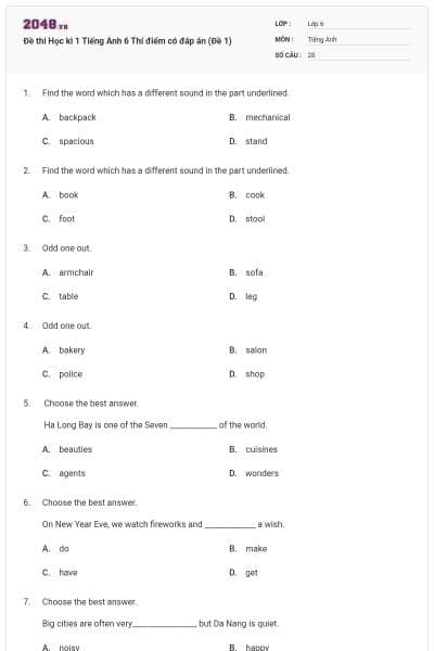 Đề thi Học kì 1 Tiếng Anh 6 Thí điểm có đáp án (Đề 1)