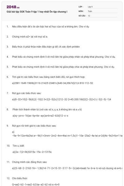 Giải bài tập SGK Toán 9 tập 1 hay nhất Ôn tập chương I