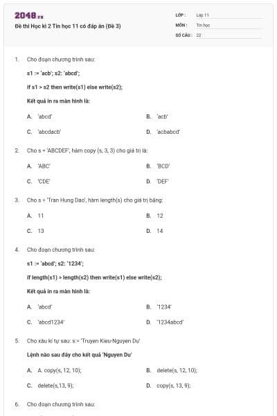 Đề thi Học kì 2 Tin học 11 có đáp án (Đề 3)