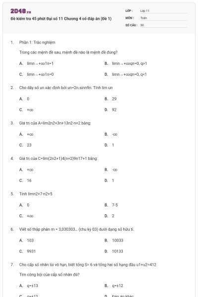 Đề kiểm tra 45 phút Đại số 11 Chương 4 có đáp án (Đề 1)
