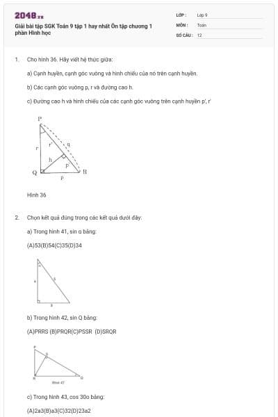 Giải bài tập SGK Toán 9 tập 1 hay nhất Ôn tập chương 1 phần Hình học