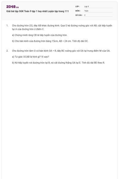 Giải bài tập SGK Toán 9 tập 1 hay nhất Luyện tập trang 111