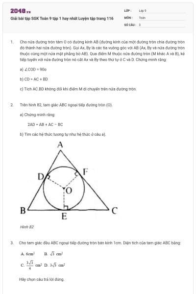 Giải bài tập SGK Toán 9 tập 1 hay nhất Luyện tập trang 116