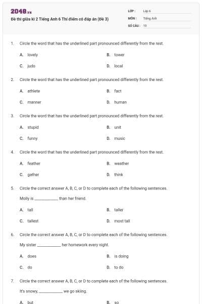 Đề thi giữa kì 2 Tiếng Anh 6 Thí điểm có đáp án (Đề 3)