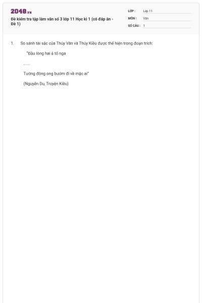 Đề kiểm tra tập làm văn số 3 lớp 11 Học kì 1 (có đáp án - Đề 1)