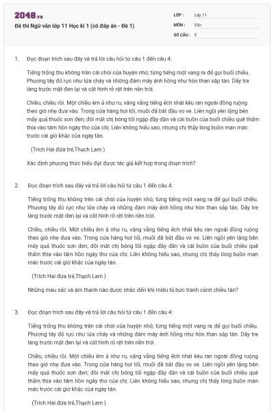 Đề thi Ngữ văn lớp 11 Học kì 1 (có đáp án - Đề 1)