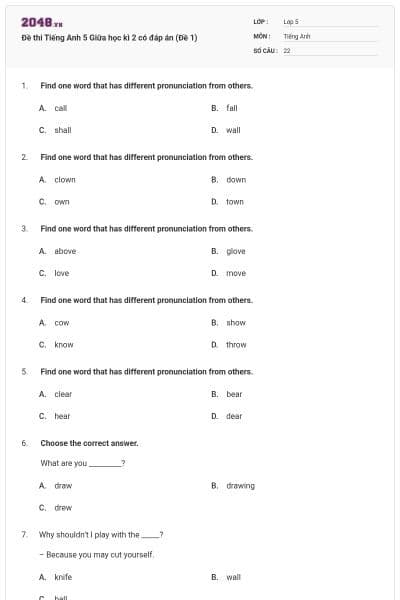 Đề thi Tiếng Anh 5 Giữa học kì 2 có đáp án (Đề 1)