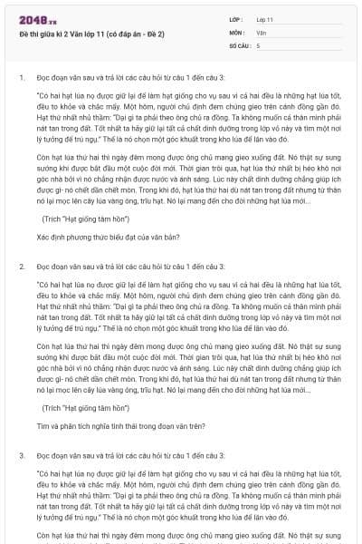 Đề thi giữa kì 2 Văn lớp 11 (có đáp án - Đề 2)