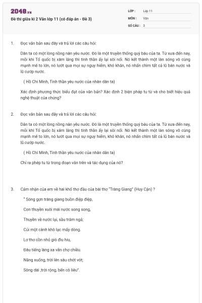 Đề thi giữa kì 2 Văn lớp 11 (có đáp án - Đề 3)