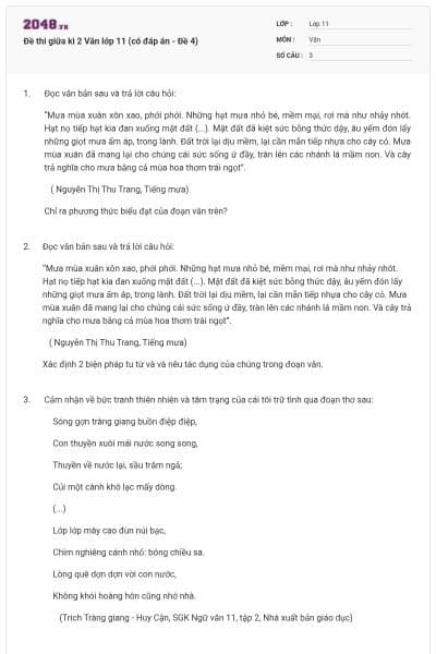 Đề thi giữa kì 2 Văn lớp 11 (có đáp án - Đề 4)